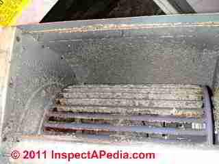 Photo of mold on the air conditionre blower fan blades (C) Daniel Friedman